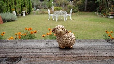 Amazon.co.jp: リンコナダ ミニヒツジ MI10 陶器 動物 置物 羊 ヒツジ
