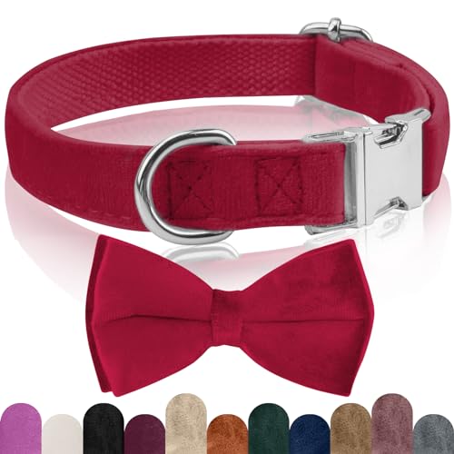 KTWSUEF Collare Cane Vellutato, con Papillon Cane Staccabile, Comodo Regolabile Collare Per Cani Personalizzato, Per Cani di Taglia Piccola Media Grande, Per matrimoni, compleanni, feste, ecc