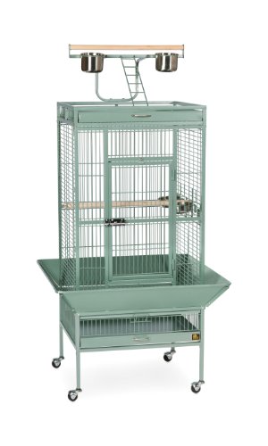 Prevue Pet Products Wrought Iron Select Bird Cage - Large Steel Cage with Rolling Stand Seed Guards and Playtop Durable Design Ideal for Conures and Medium Birds - Sage Green
