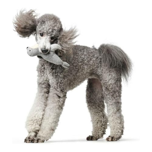 Hundespielzeug Skagen Seerobbe, grau 25 cm