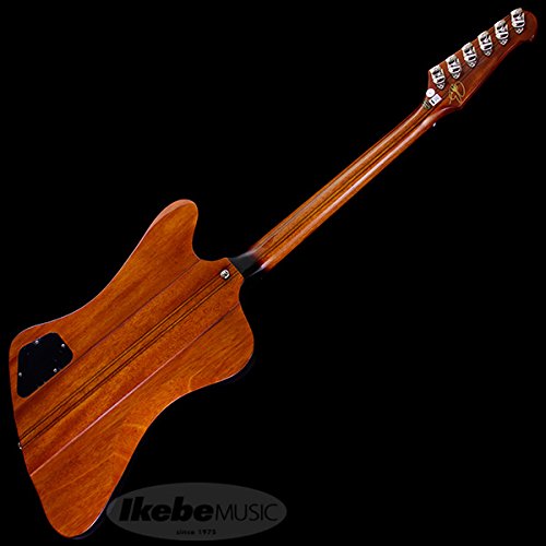 Amazon.co.jp: Epiphone エピフォン エレキギター Limited Edition Joe