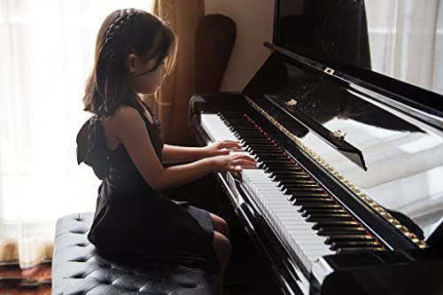 Lot de 88 étiquettes amovibles et réutilisables en silicone pour clavier de piano – Pour enfants et débutants – Arc-en-ciel - Les Beatles, Paul McCartney, John Lennon, RIngo Starr, George Harrison Lot de 88 étiquettes amovibles et réutilisables en silicone pour clavier de piano - Pour enfants et débutants - Arc-en-ciel – Image 7
