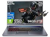 Acer Predator Helios Triton 500 SE Gaming Laptop (16 inches QHD+ 165Hz, Intel 8-Core i7-11800H, 64GB RAM, 2TB SSD, RTX 3060 6GB), 3-Zone RGB Backlit, IST Cable, Win 10 Home / 11 Home - Steel Gray