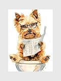 ZYANART - Décoration murale amusante pour salle de bain - Taille : 29,2 x 41,9 cm, 30 x 42 cm - Sans cadre #3 (Chien cairn terrier assis sur les toilettes 0)