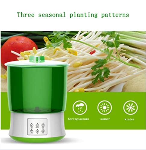 Machine de germination de graines pour manger sainement et facilement chez soi