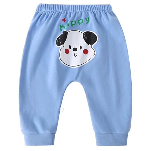 Y{ xr[ Ԃ j̎q ̎q  q H ~ j̎q ̎q  Y{ ʋC  [EFA  K _炩 H~ ct ۈ牀 i ł v[g 1`5 풅(100,u[)