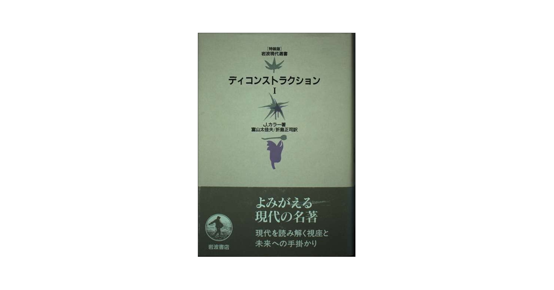 #近代文学史 #ディルタイ #岩波文庫 #1979年9月20日発行 Books Kinokuniya