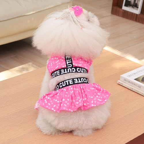 Image of CuteBone Two Piece Dog Sports Dress Athleisure Puppy Skirt Lightweight Small Dogs Girl Clothes Cat Apparel SPS12S