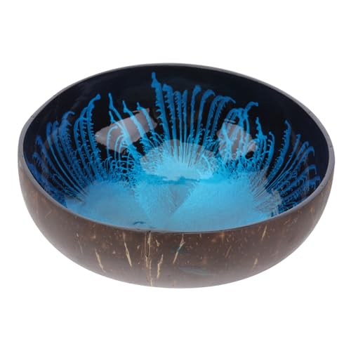 FUNOMOCYA bowls tank natural salad bowl Serving Bowls vegetarian snacks cereal bowls shell bowls decor trinket coffee table bowls for snacks bowl dishes coconut shell porch bowl cover office