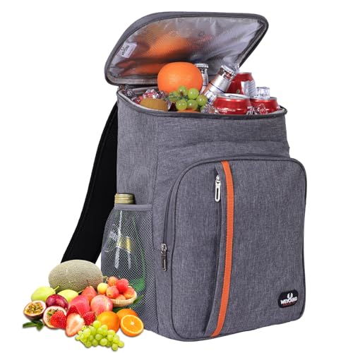 22L Kühlrucksack - Groß Kühltasche Picknickrucksack Wasserdichter Rucksack Ultraleicht Rucksäcke Männer Frauen für Camping, BBQ, Wandern, Picknick Schwarz