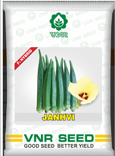 VNR SEEDS Bhindi Janhvi F1 Hyb Seeds (100gm)