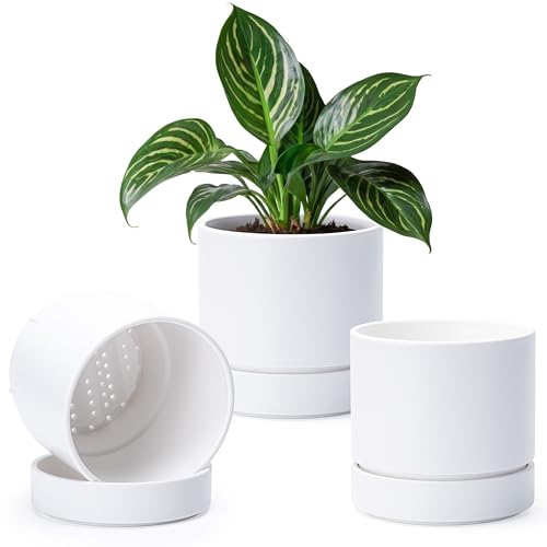 Phoenix Vine 6 Inch Planter Pot with Drainage Hole & Saucer, Deep Water Catch Tray, Straight Cylindrical Round Pot for Plants, Matte White, Pack of 3, 23-B-S-3