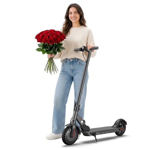 Fcgeoi 500W