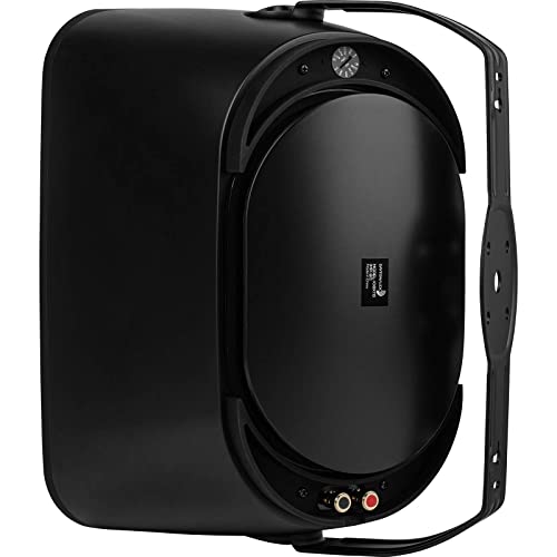 Dayton Audio Io8Xtb 8" 70/100V 8 Ohm Indoor/Outdoor 2-Way Speaker W/Bass Radiator Black #TOP3