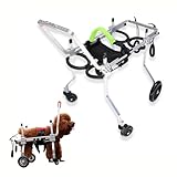 【 Fauteuil roulant pour chien de qualité 】 Le fauteuil roulant pour chien est équipé de pneus et de roulements de haute qualité qui lui permettent de naviguer sur une variété de terrains. Avec des sangles de transport souples et des sangles de jambe pour plus de confort et de soutien, n'affecte pas la défécation