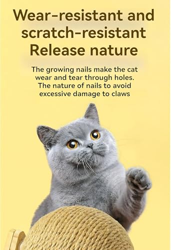 Rascador de Sisal para Gatos con Bola Mediano miniatura 6