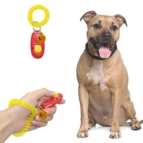 Sage Square Dog Training Clicker with Wrist Strap - Pet Training Clicker, Big Button Clicker Set, Pack of 2 (Color May Vary) 1