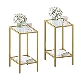 HOMSHO Side Tables Set of 2, End Tables with Tempered Glass, 2-Tier Nightstands with Storage Shelves