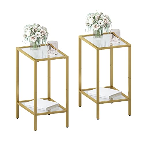 Homsho Side Tables Set Of 2, End Tables With Tempered Glass, 2-Tier Nightstands With Storage Shelves, Slim Sofa Table For Living Room, Bedroom (2, Golden) #TOP15