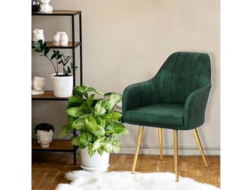 Image of Accent Chairs for Living Room | Modern Armchair in Velvet Fabric with Golden Legs | Pack of 1 Chair for Home, Office, Restaurent, Cafe (Green)