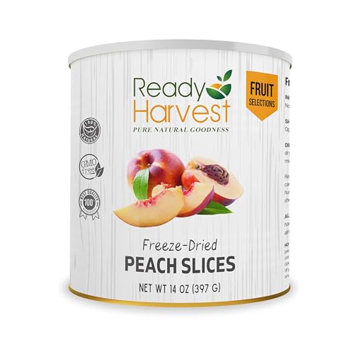 Ready Harvest Dried Fruits 1 CAN