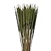 50 Stem Bundle of All-Natural Cattail Stems, Dried Decorative Drop-in Bouquet, 28” Tall Rustic, Farmhouse, and Holiday Décor, Long-Lasting Natural Arrangement (Fresh Green Grass)
