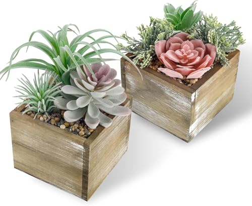 Der Rose 2 Pack Fake Plants Succulents Plants Artificial Cactus