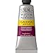 Produktbild Winsor & Newton 2120488 Galeria Acrylfarbe, hohe Pigmentierung, lichtecht, buttrige Konsistenz, 60 ml Tube - Permanentmagenta