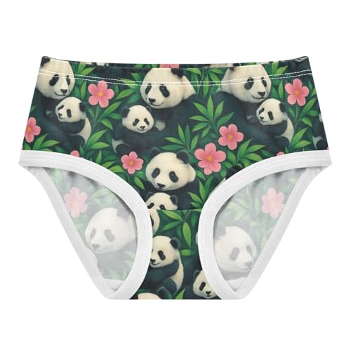 Joisal Funny Girls Underwear Toddler 2t Cotton Little Girl Panties Cute Giant Pandas Cubs Kids Briefs Undies