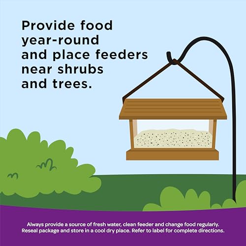 Kaytee Nut & Fruit Wild Bird Seed, 5 lb - image 7
