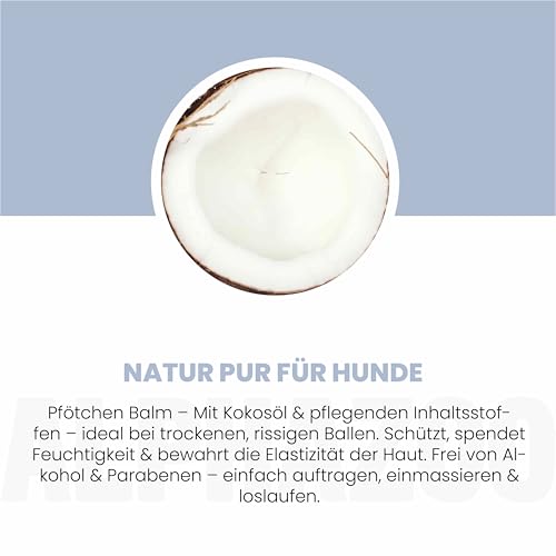 alphazoo Pawtable Pfotenpflege 4,6g - Natürliche Pfotenpflege & Pfotenschutz- Pfotenstick - Pfotenbalsam gegen trockene Pfoten, heißer Asphalt, Schnee & Streusalz- Beruhigt, schützt & regeneriert