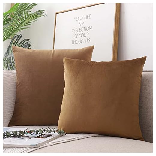 Sammet kasta kudde täcker paket med 2 dekorativa örngott för soffa bäddsoffa stol blå mjukt kudde case solid fyrkantig kudde kappa pack med dragkedja,Coffee,50x50cm