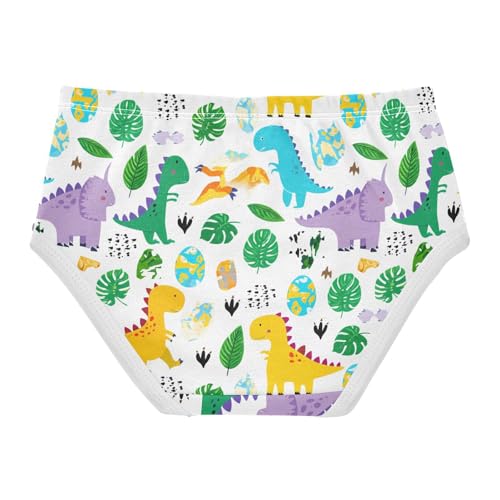 Cute Cartoon Dinosaurs Toddler Girls's Underwear 2T 202c17922