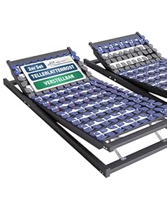 AM Qualitätsmatratzen 7 Zonen Tellerlattenrost 160x200 verstellbar bis 130 kg mit 80 Tellern - Made in Germany - Punktelastisches Tellerlattenrost Kopf und Fußteil verstellbar 160x200