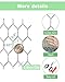 Garden Poultry Chicken Wire Netting - 72 '' × 150 ' Garden Fence Animal Barrier, Chicken Wire for Crafts, 1 inch Mesh Poultry Netting Fence, Pet/Rabbit/Chicken Wire Fencing
