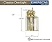 Sea Gull Lighting 8509-02 Classico One-Light Outdoor Wall Lantern With Clear Beveled Glass Panels, Polished Brass Finish