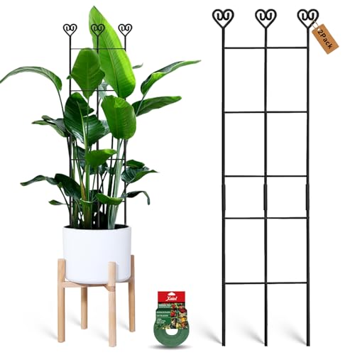 Image of 32in Large Indoor Plant Trellis for Climbing Plants, Expandable Metal Garden Trellis for Potted Plants, Tall Plant Supports for Ivy Pothos Hoya Monstera, 2p