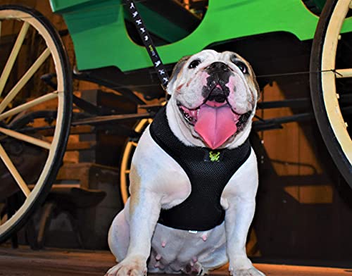 Ecobark Dog Harness - Eco-Friendly Max Comfort Harnesses - Luxurious Soft Mesh Halter - Over The Head Harness Vest- No Pull And No Choke For Medium And Large Breed Dogs (Black, Xl) #TOP3