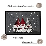 Hanse Home Printy Fußmatte für Innen und Außen 40x60cm - Schmutzfangmatte Türmatte Christmas Dwarfes mit Zwergen-Motiv Waschbar & Wetterfest, rutschfest für Eingangsbereich & Außenbereich – Grau