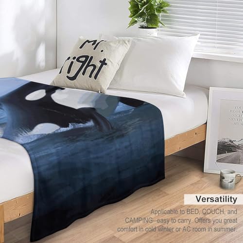 Couverture polaire douce de qualité supérieure pour lit et canapé chic