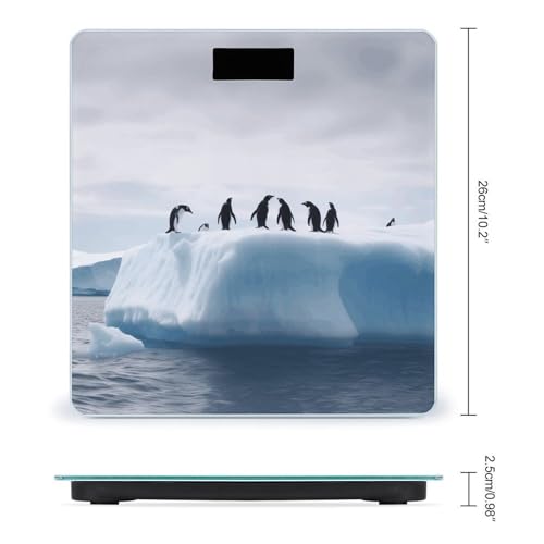 Báscula digital de baño Penguin con plataforma de vidrio templado miniatura 2