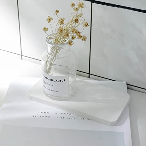 NiuYichee 2 Pcs Water Absorbing Stone Trays, Kitchen/Bathroom Sink Soap Dish, Diatomite Tray Used for Hand Soap & Cosmetic Bottles in The Modern Home, 3.15" W x 6.3" L, White