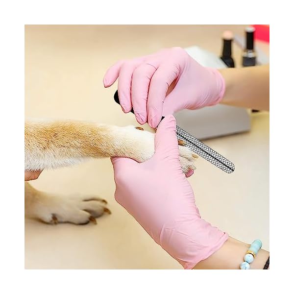 Candure Profi Krallenschere für Hunde und Katzen mit Nagelfeile Edelstahl Krallenzange Hohe Qualität Krallenpflege Schneider für Haustiere Nagelknipser groß Mit Sicherheitsschutz – Bild 8