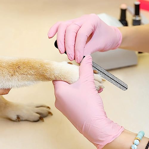Candure Profi Krallenschere für Hunde und Katzen mit Nagelfeile Edelstahl Krallenzange Hohe Qualität Krallenpflege Schneider für Haustiere Nagelknipser groß Mit Sicherheitsschutz (Klein (S), Grün)