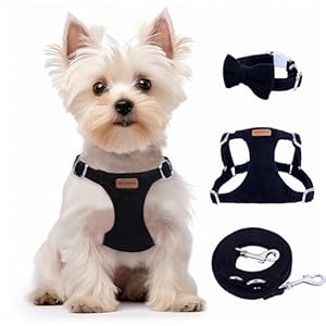 Dog Harness and Leash Set, S No Pull Adjustable Puppy Harness with Multifunction Black Dog Leash and Collar, Soft No Choke Escape Proof Pet Harness Vest for Small Dogs and Cats (Black, S)