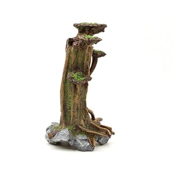 流木2本セット 流木指定グラスアクアリウムセット CYLINDER006 – PINTO