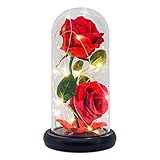 led rose wallpaper 【Einfach zu Bedienen】Sie müssen nur drei AA-Batterien(nicht im Lieferumfang enthalten) in den Boden des Holzfußes einlegen, damit Sie ihn normal verwenden können. Die Glaskuppel hat eine Höhe von 20 cm und einen Durchmesser von 11 cm, geeignet für Decoration am Nachttisch, Schreibtisch, Schaufenster. Setzen Sie das Produkt nicht direktem Sonnenlicht aus.