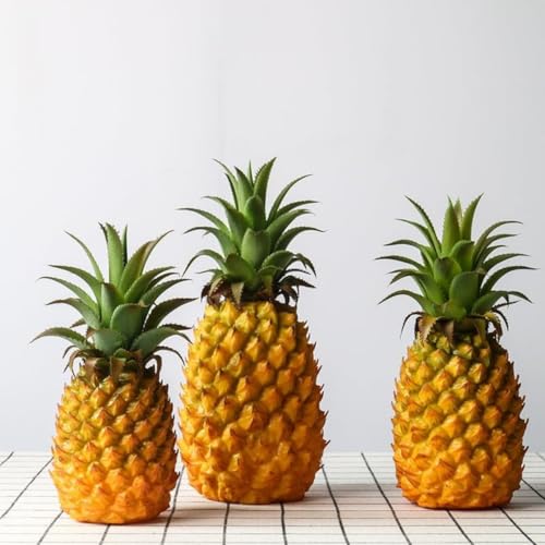 Wyazziv ʕ̃Tv pCibv 1 HiTv 킢 { ̉ʕHȉ FN₩ fBXvC ܂܂ wZ s Ȃǂ œK P[L ʕȂǂ  CeA (S+M+L,CG[)