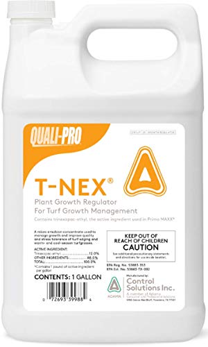 Quali-Pro T-Nex Plant Growth Regulator (Primo Maxx) - Manage Growth, Improve Quality and Color, Helps Produce Healthy, Durable Blades in Turf Grass (1 Gallon)