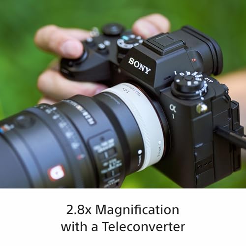Image of Sony E-Mount FE 100 MM F2.8 Macro GM OSS Full-Frame Lens (SEL100M28GM) I 1.4X Magnification I Excellent Macro Lens - Black